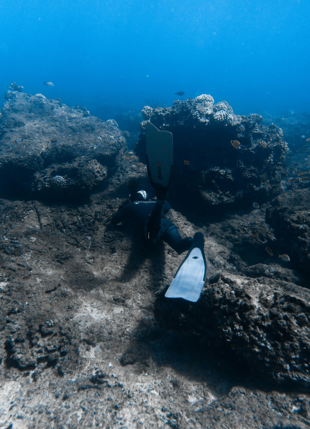 ocean research image